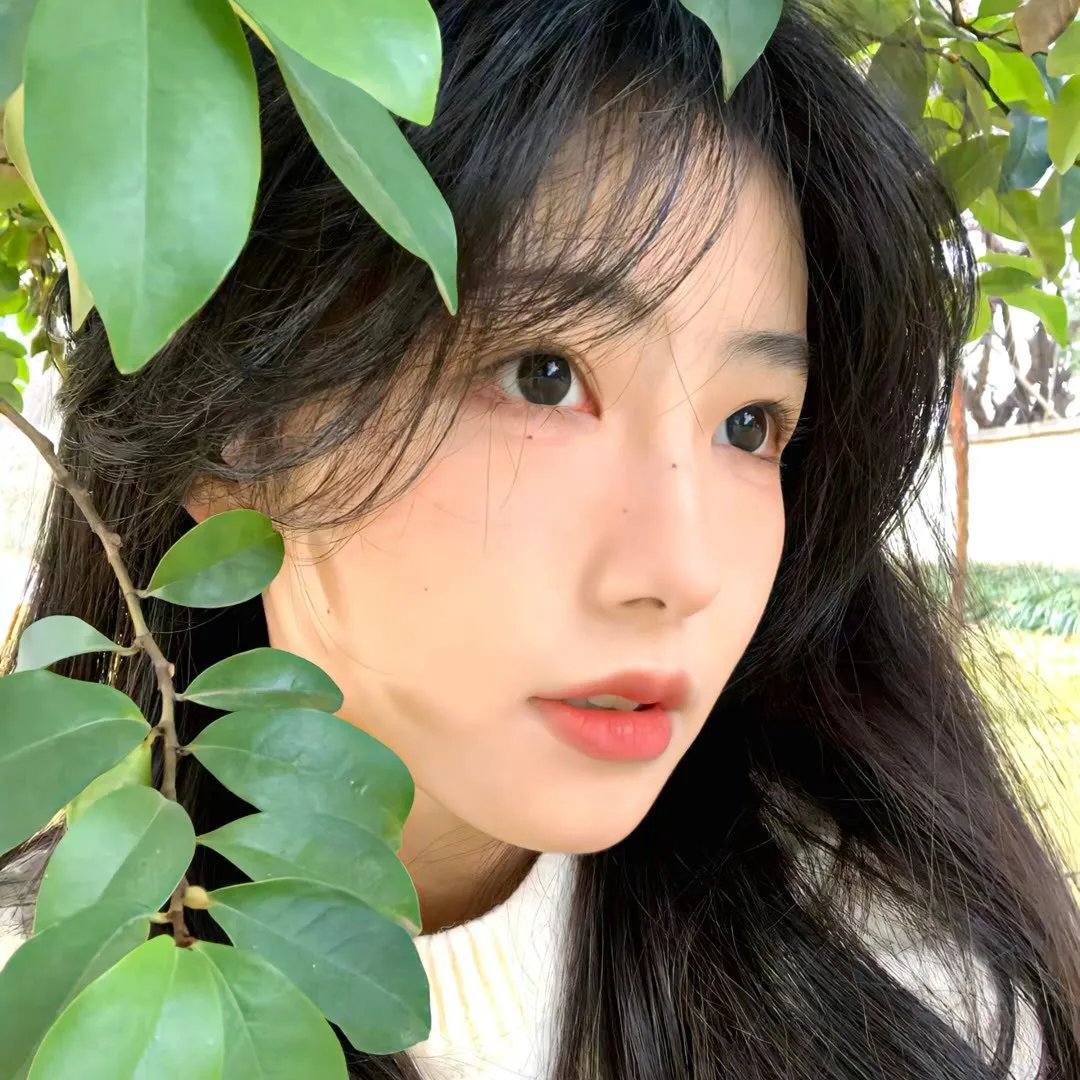我的太阳
