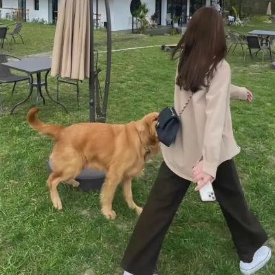 风流女房东